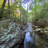 Review photo of Hickory Ridge Campground — Grayson Highlands State Park by Dave V., August 2, 2020