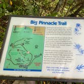 Review photo of Hickory Ridge Campground — Grayson Highlands State Park by Dave V., August 2, 2020