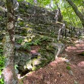 Review photo of Hickory Ridge Campground — Grayson Highlands State Park by Dave V., August 2, 2020