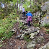 Review photo of Hickory Ridge Campground — Grayson Highlands State Park by Dave V., August 2, 2020