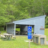 Review photo of Grayson Highlands State Park Campground by Dave V., August 2, 2020