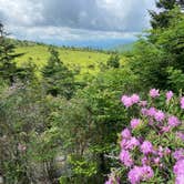 Review photo of Hickory Ridge Campground — Grayson Highlands State Park by Dave V., August 2, 2020