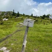 Review photo of Hickory Ridge Campground — Grayson Highlands State Park by Dave V., August 2, 2020