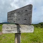 Review photo of Hickory Ridge Campground — Grayson Highlands State Park by Dave V., August 2, 2020