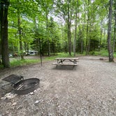Review photo of Hickory Ridge Campground — Grayson Highlands State Park by Dave V., August 2, 2020