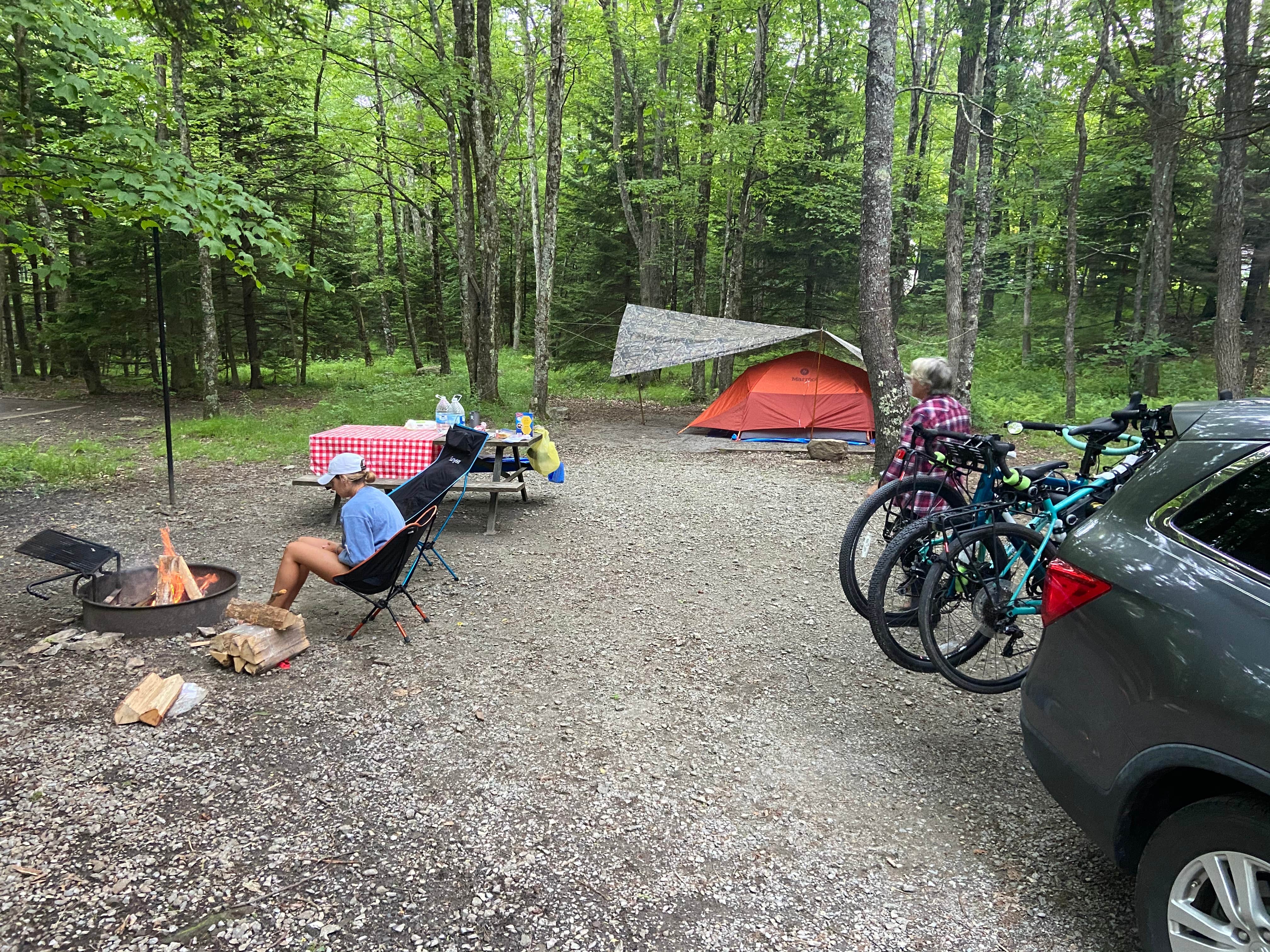 Dave V.'s photo at Hickory Ridge Campground — Grayson Highlands State Park near Crumpler, NC