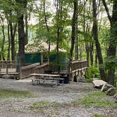 Review photo of Hickory Ridge Campground — Grayson Highlands State Park by Dave V., August 2, 2020