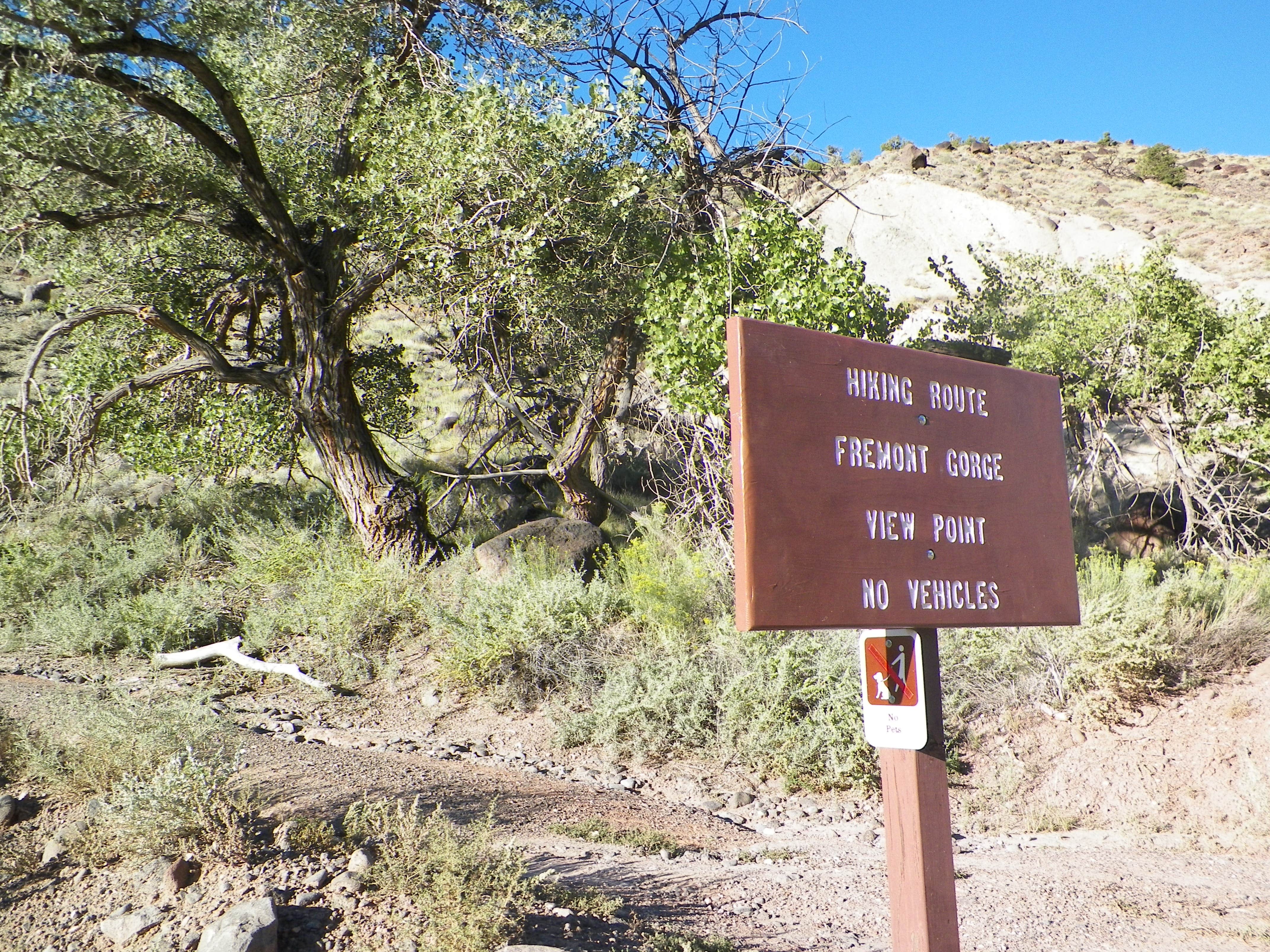 Camper submitted image from Fruita Campground — Capitol Reef National Park - 4