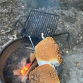 Review photo of Hickory Ridge Campground — Grayson Highlands State Park by Dave V., August 2, 2020