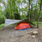 Review photo of Hickory Ridge Campground — Grayson Highlands State Park by Dave V., August 2, 2020