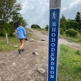 Review photo of Hickory Ridge Campground — Grayson Highlands State Park by Dave V., August 2, 2020