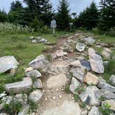 Review photo of Hickory Ridge Campground — Grayson Highlands State Park by Dave V., August 2, 2020