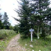 Review photo of Hickory Ridge Campground — Grayson Highlands State Park by Dave V., August 2, 2020