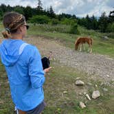 Review photo of Hickory Ridge Campground — Grayson Highlands State Park by Dave V., August 2, 2020