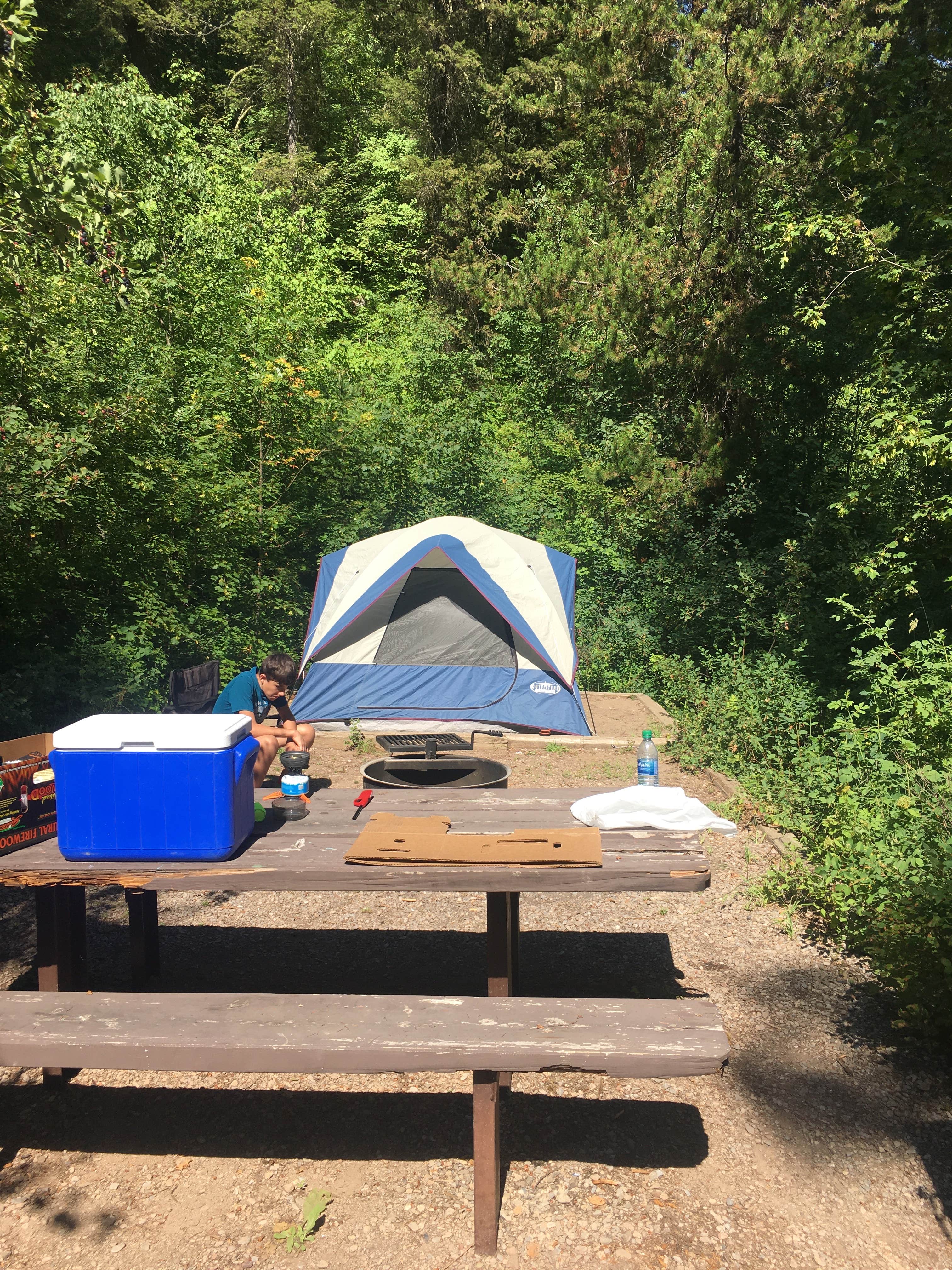 Camper submitted image from Targhee National Forest Calamity Campground - 5