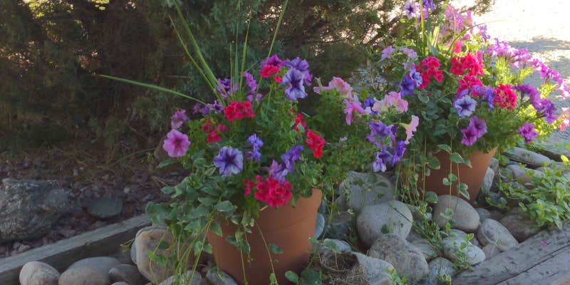 Camper submitted image from Ennis RV Village