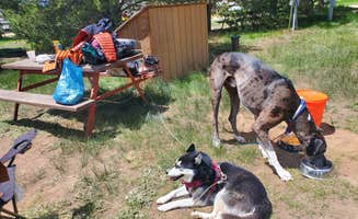 Katie H.'s photo of camping with pets at Sugarloaf Campground near Dillon, CO