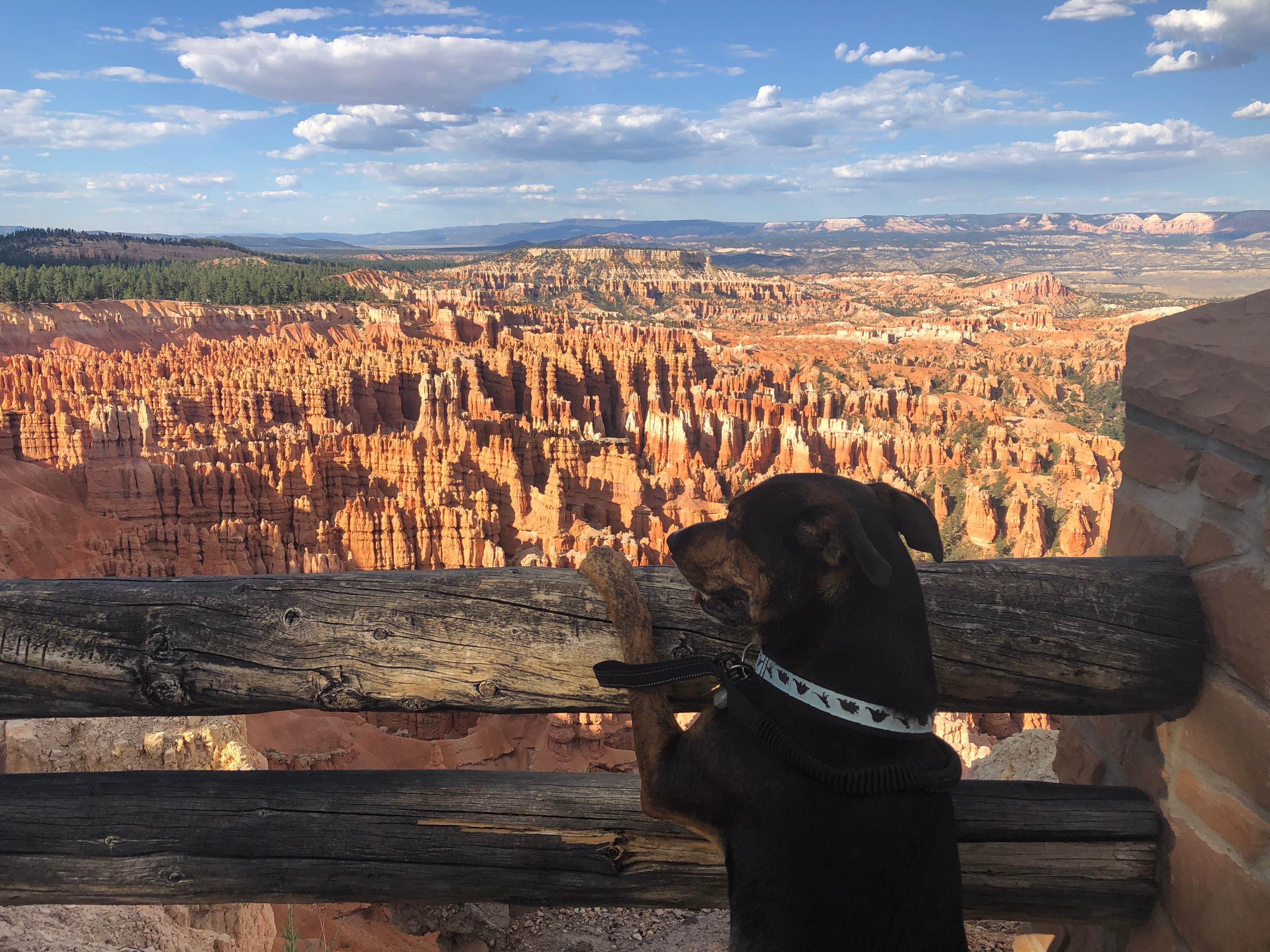 North Campground — Bryce Canyon National Park