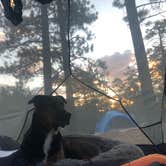 Review photo of North Campground — Bryce Canyon National Park by Jess J., August 2, 2020