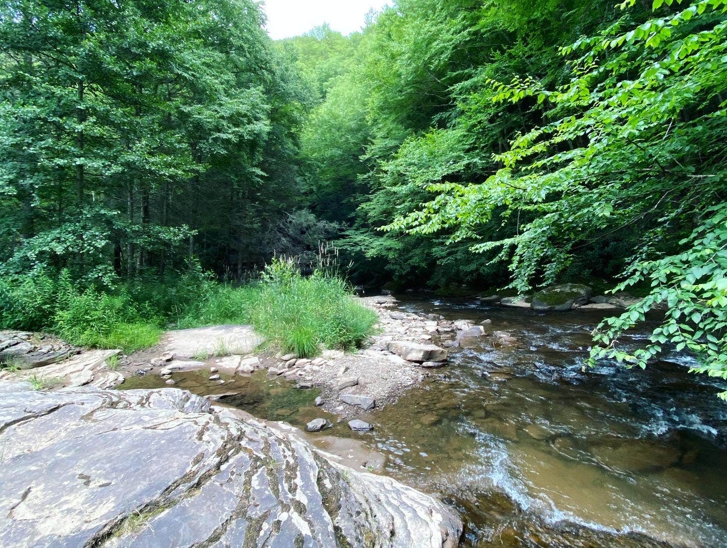 Camper-submitted photo at Gandy Creek Dispersed Camping near Glady, WV