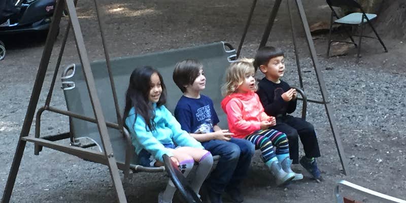 Camper submitted image from Redwoods in the magical forest π²