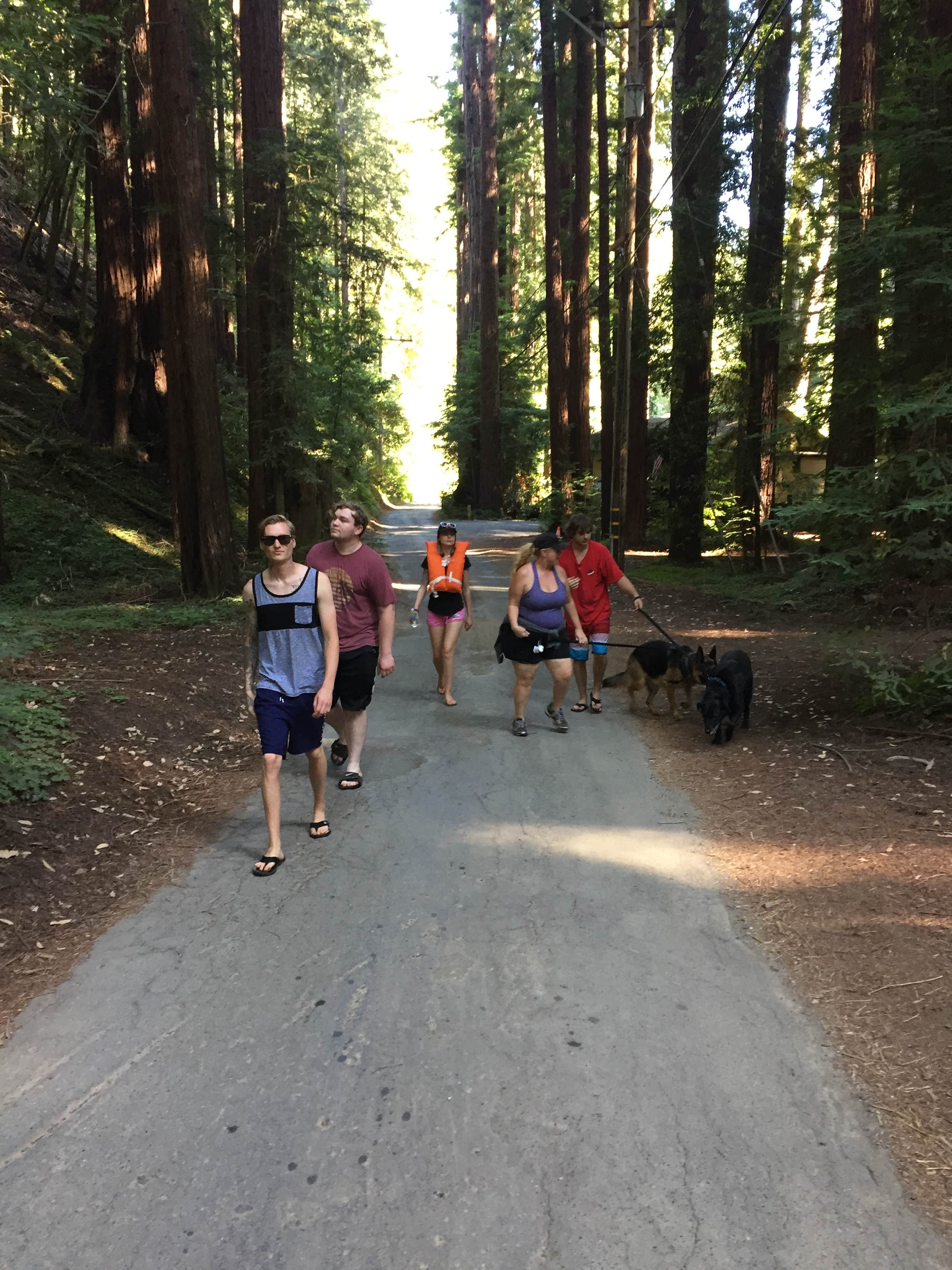 :Mitchel:  S.'s photo of camping with pets at Redwoods in the magical forest 🌲 near Fulton, CA