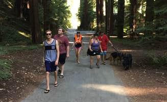:Mitchel:  S.'s photo of camping with pets at Redwoods in the magical forest 🌲 near Santa Rosa, CA