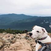 Review photo of Lafayette Place Campground — Franconia Notch State Park by Jamie C., April 14, 2018