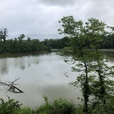 Review photo of Winton Woods Campground by Jessica  G., August 2, 2020