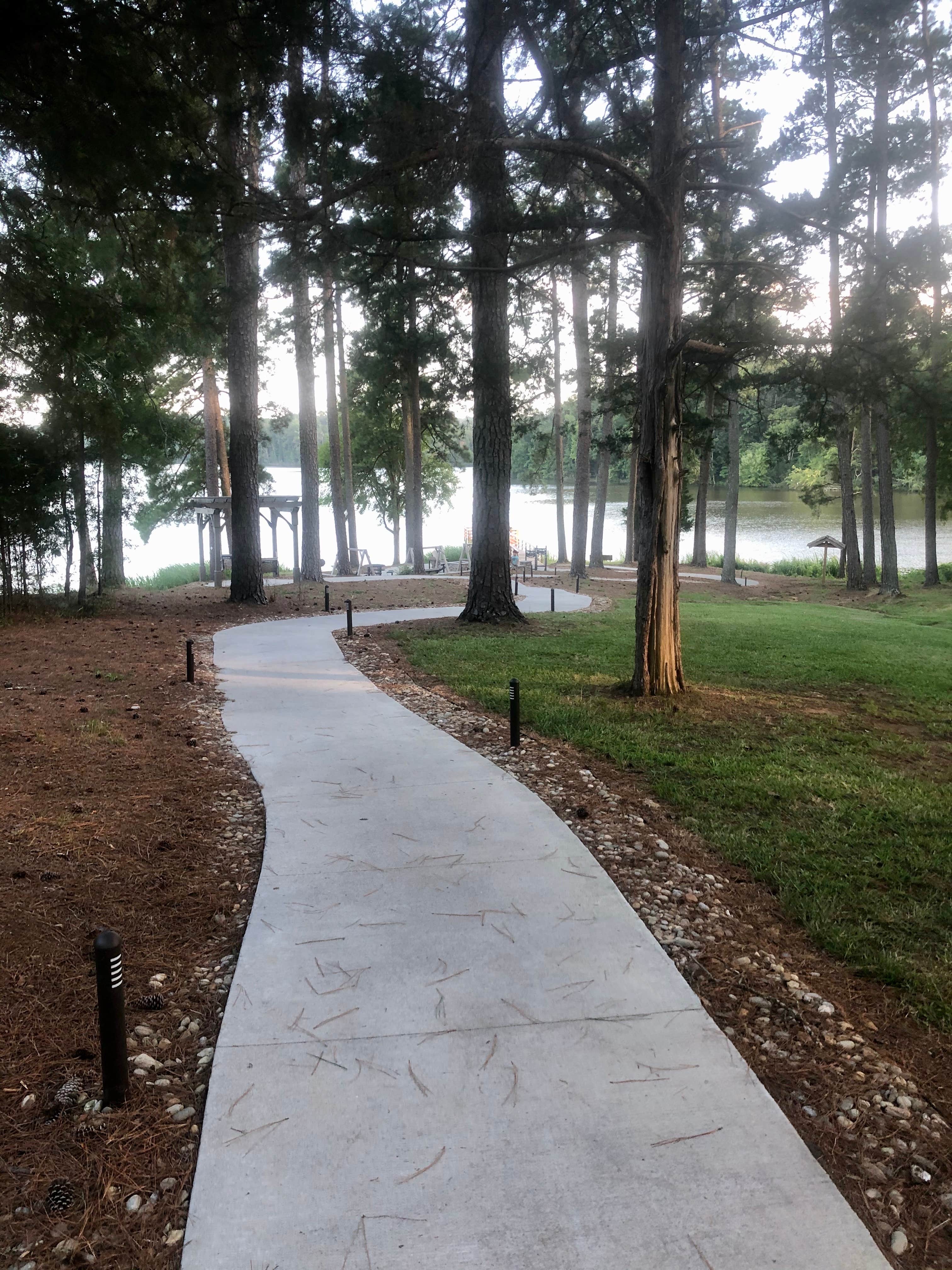Camper submitted image from Chester State Park Campground - 3