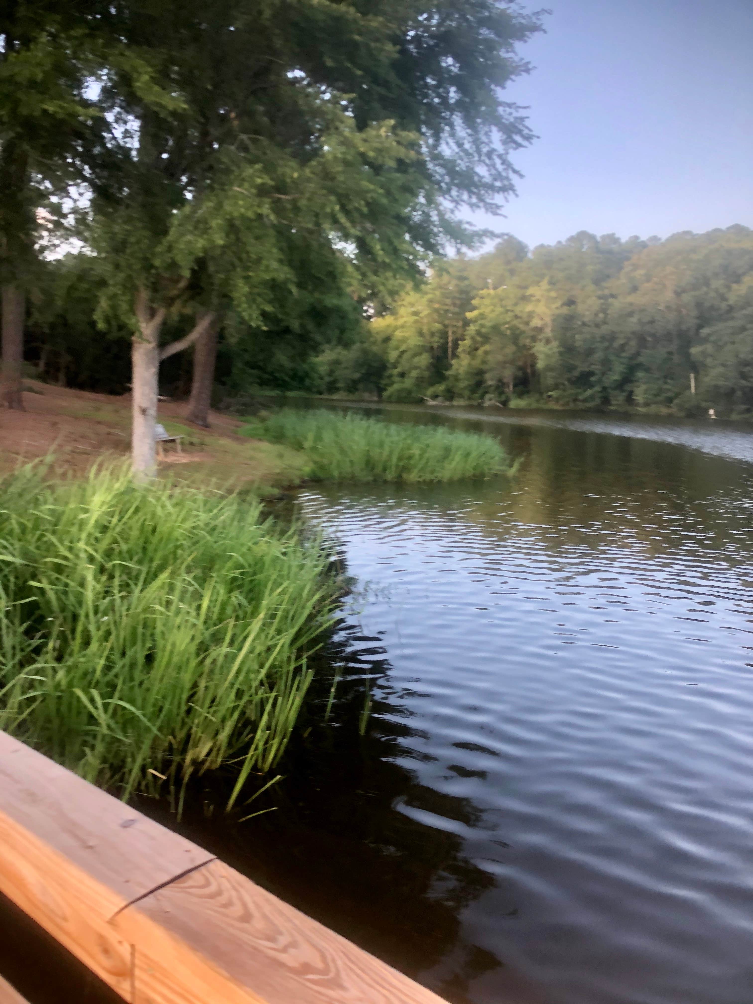 Camper submitted image from Chester State Park Campground - 5