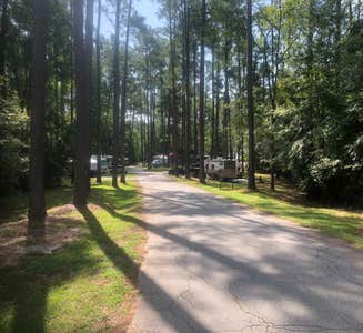 Camper-submitted photo from Longleaf Campground — Congaree National Park