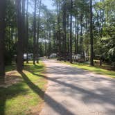 Review photo of Chester State Park Campground by Bill C., August 2, 2020