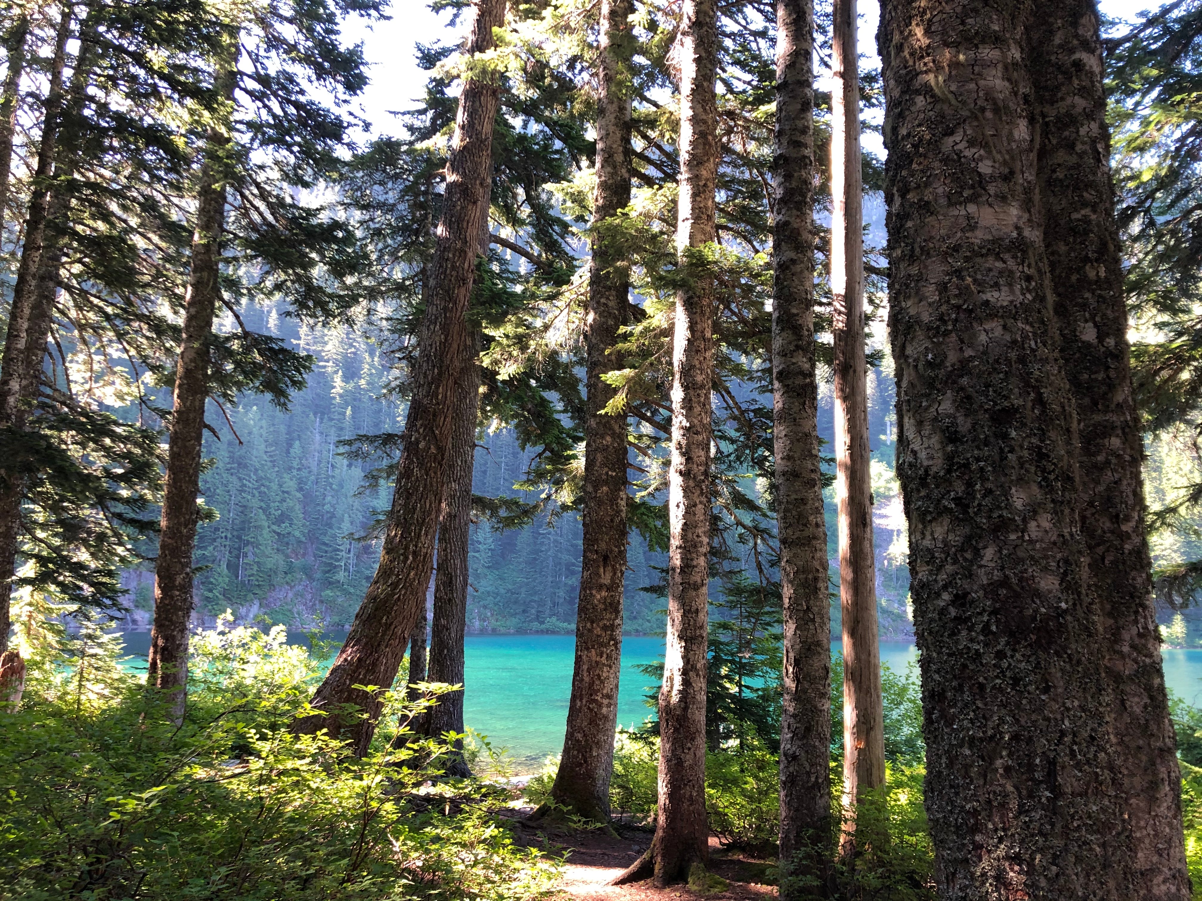 Camper submitted image from Annette Lake  - 2