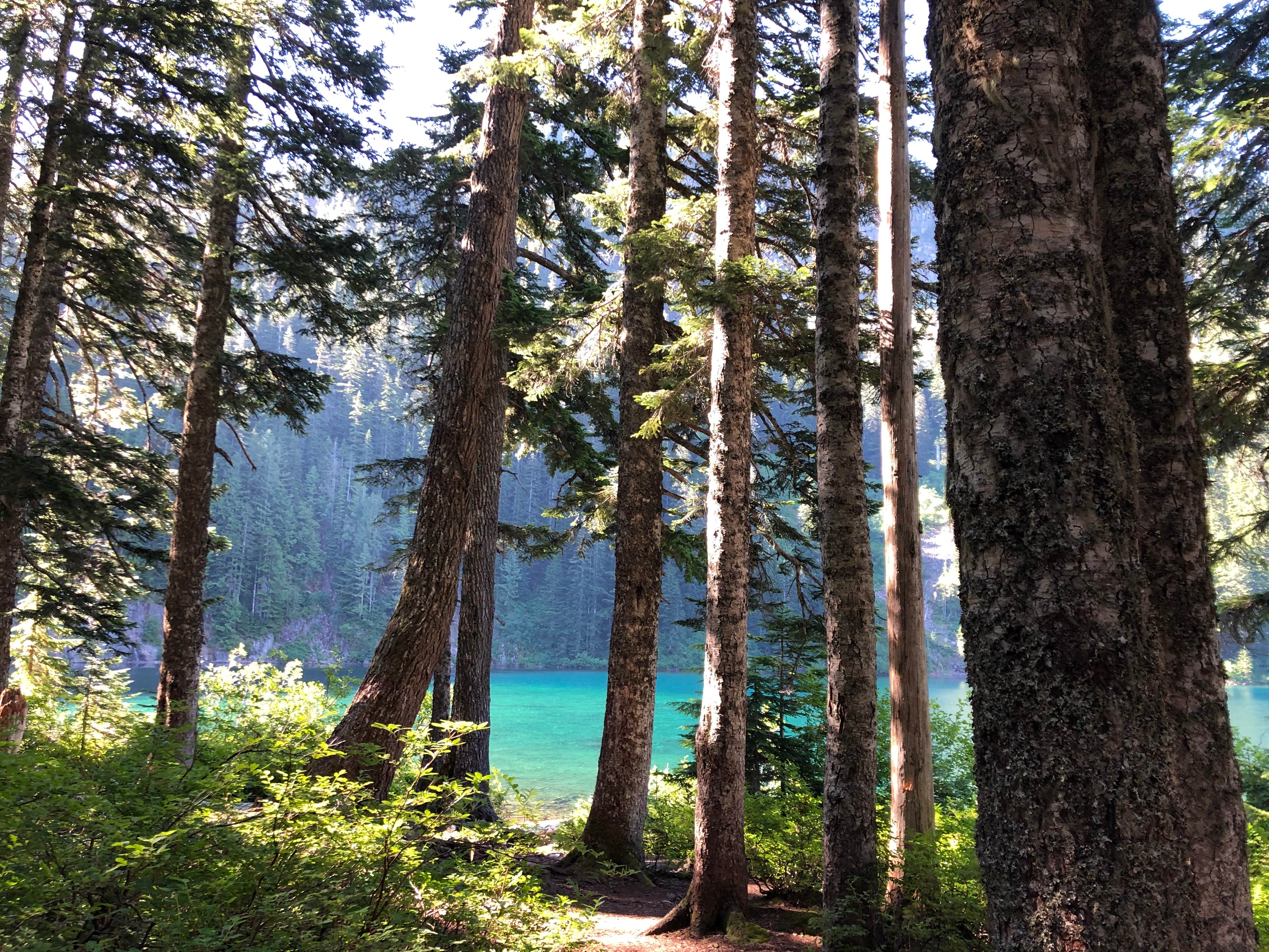 Camper submitted image from Annette Lake - 2