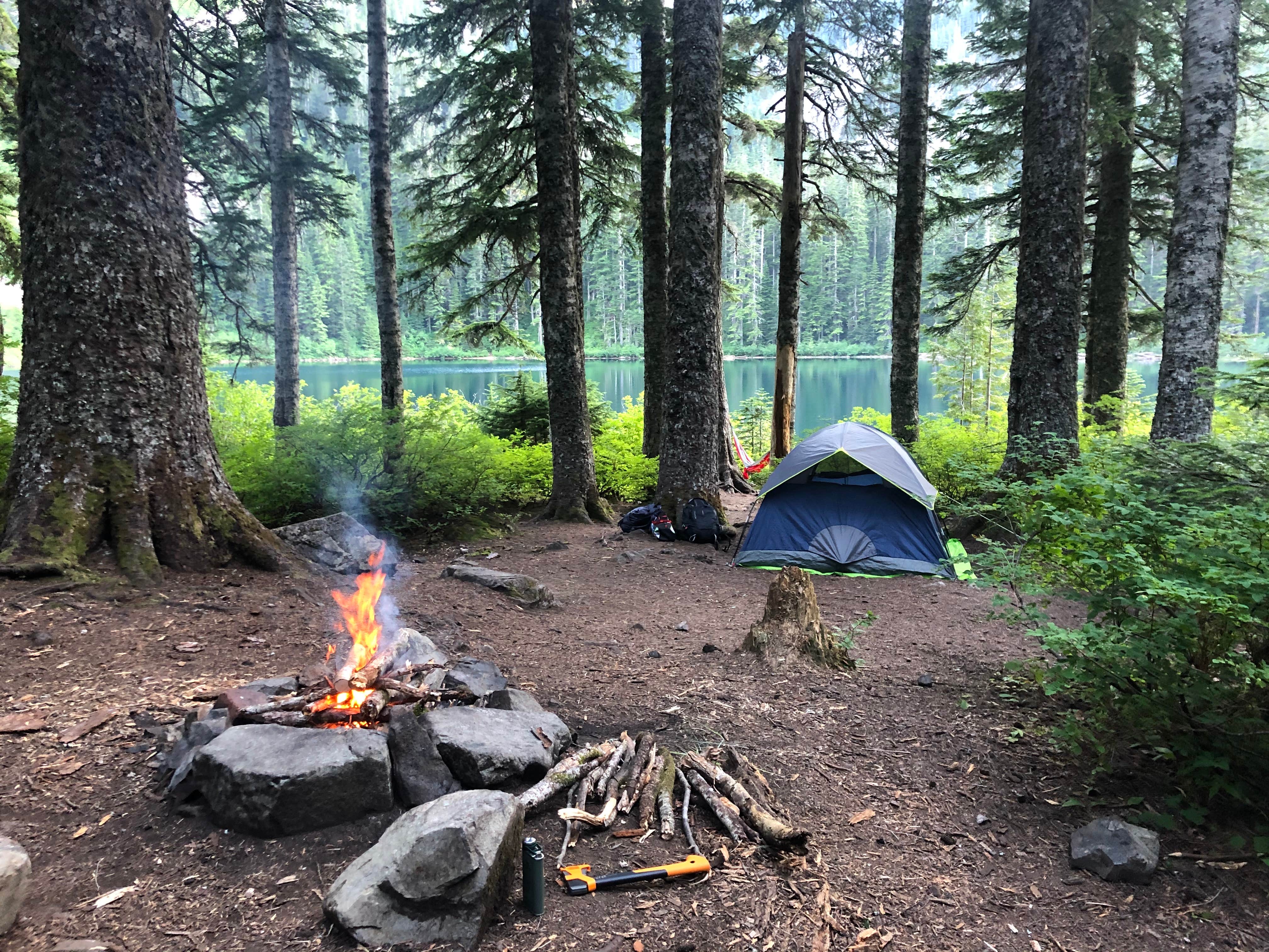 Lillie P.'s photo of a dispersed camping area at Annette Lake near Lake Tapps, WA