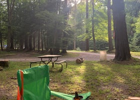 Grassmere Park Campground
