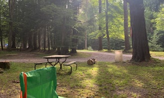 Camping near Mill Race Golf and Camping Resort: Grassmere Park Campground, Benton, Pennsylvania