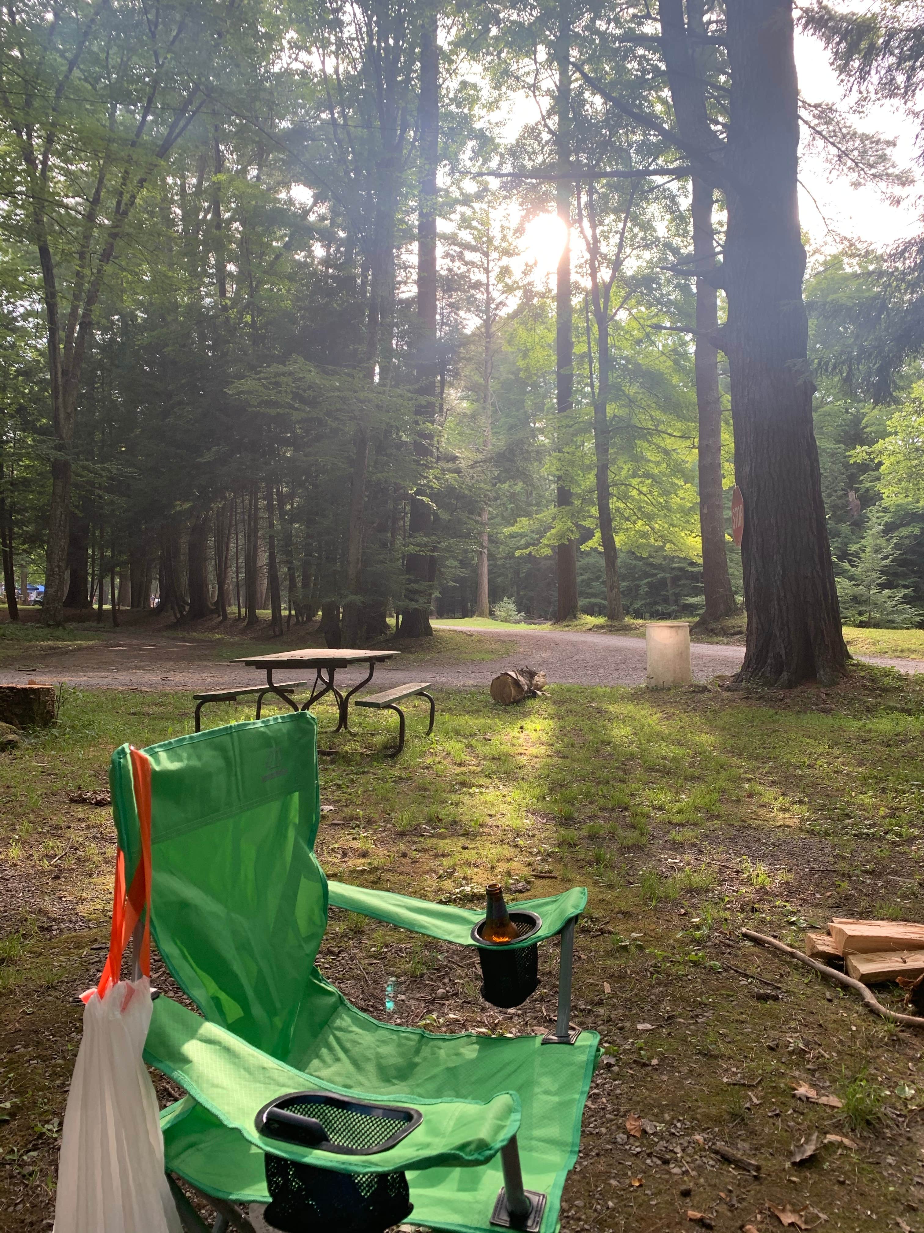Camper submitted image from Grassmere Park Campground - 1