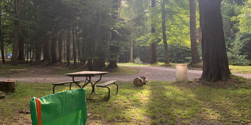 Camper submitted image from Grassmere Park Campground