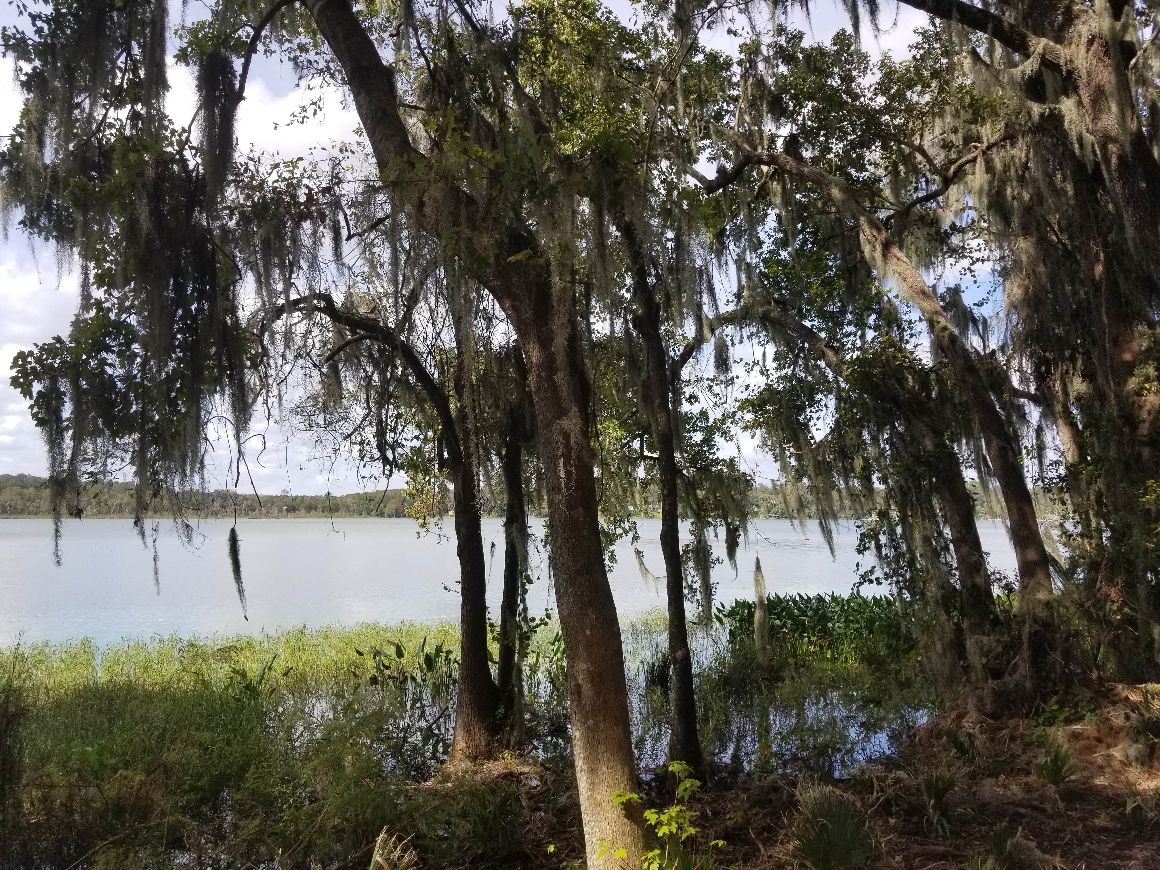 Camper-submitted photo at Paynes Prairie Preserve State Park Campground near Welaka, FL