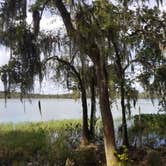 Review photo of Paynes Prairie Preserve State Park Campground by Malaney H., April 14, 2018
