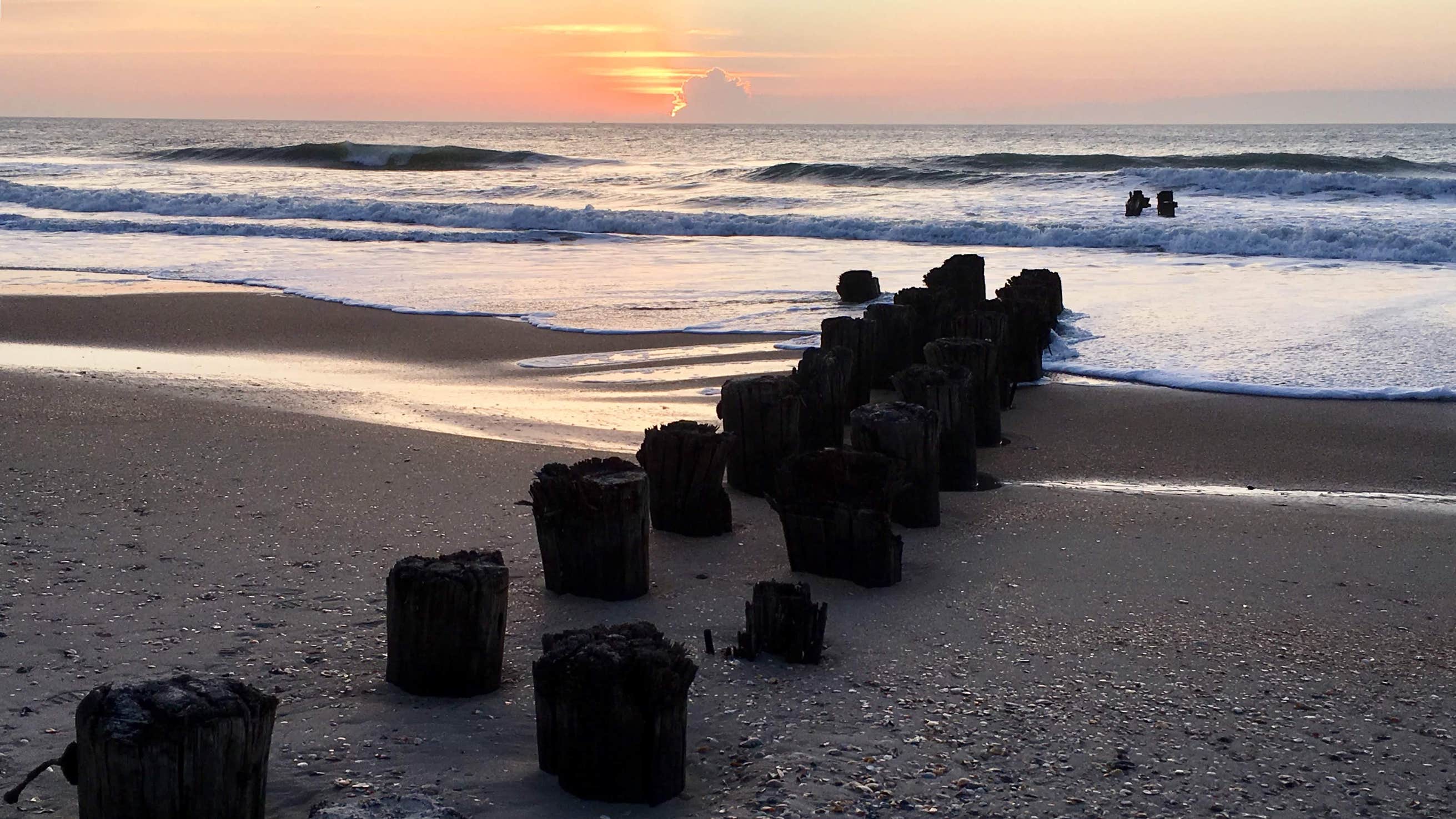 Freeman Park Camping The Dyrt