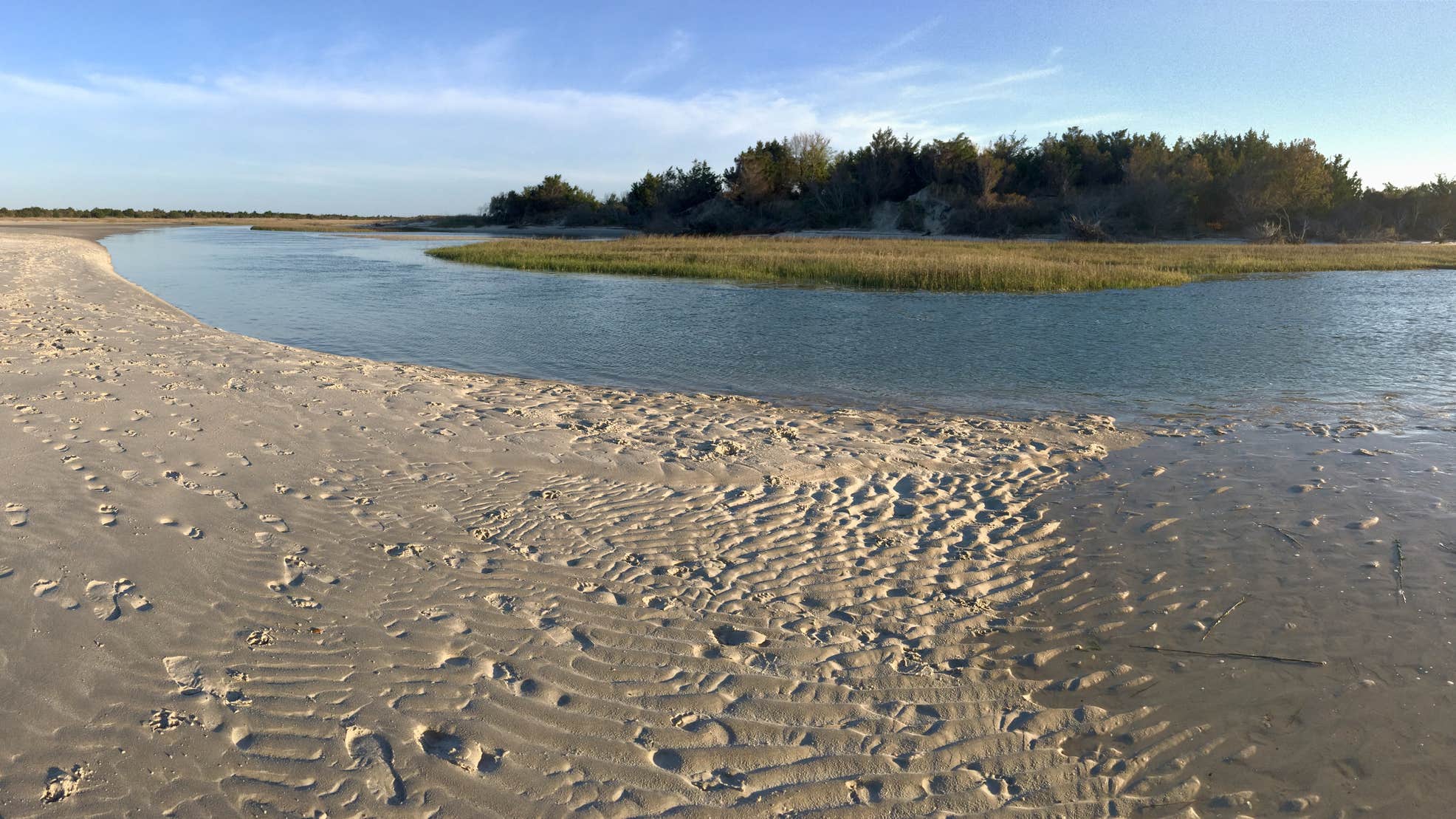 Freeman Park The Dyrt