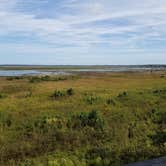 Review photo of Paynes Prairie Preserve State Park Campground by Malaney H., April 14, 2018