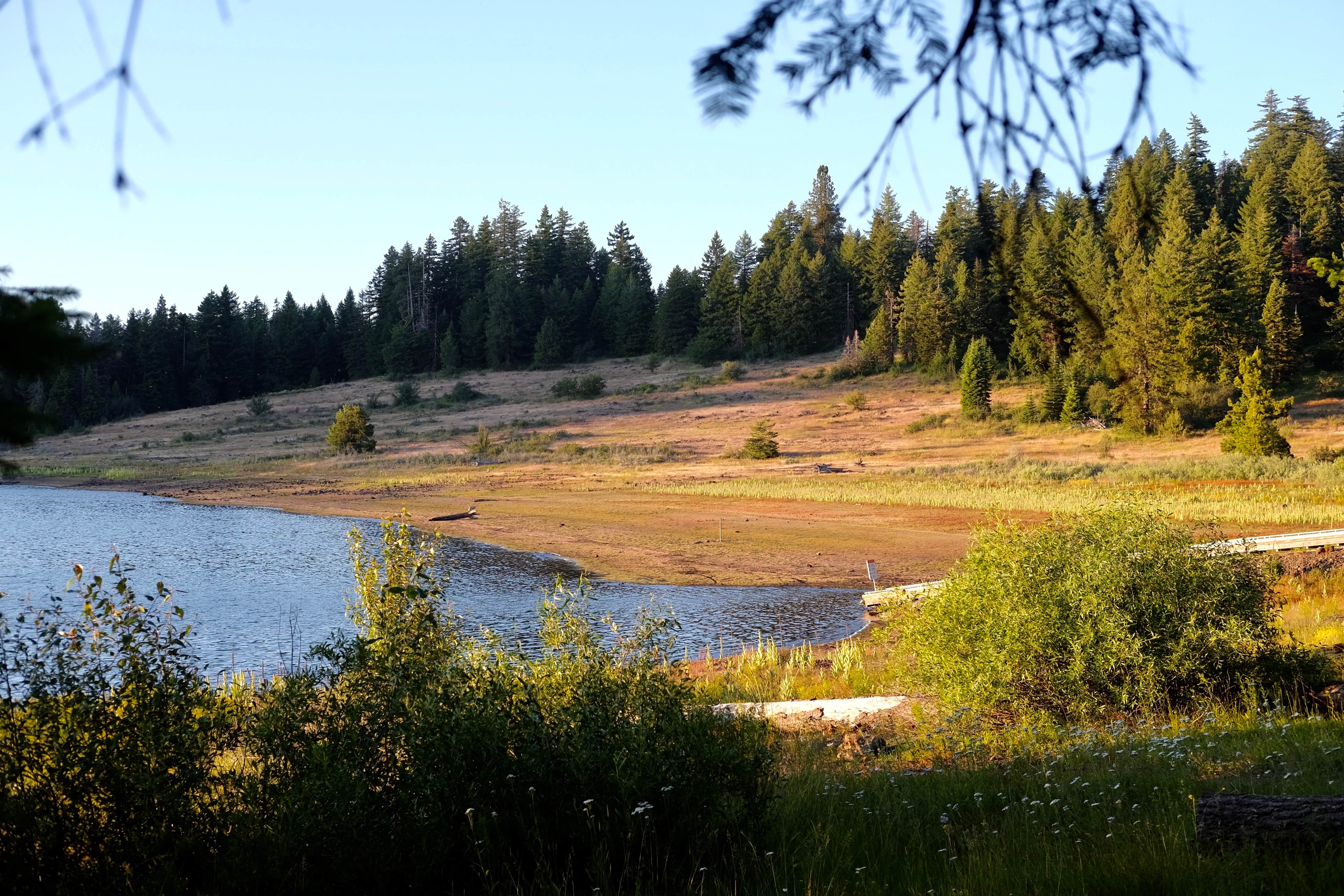 Camper submitted image from Hyatt Lake Recreation Area - 4