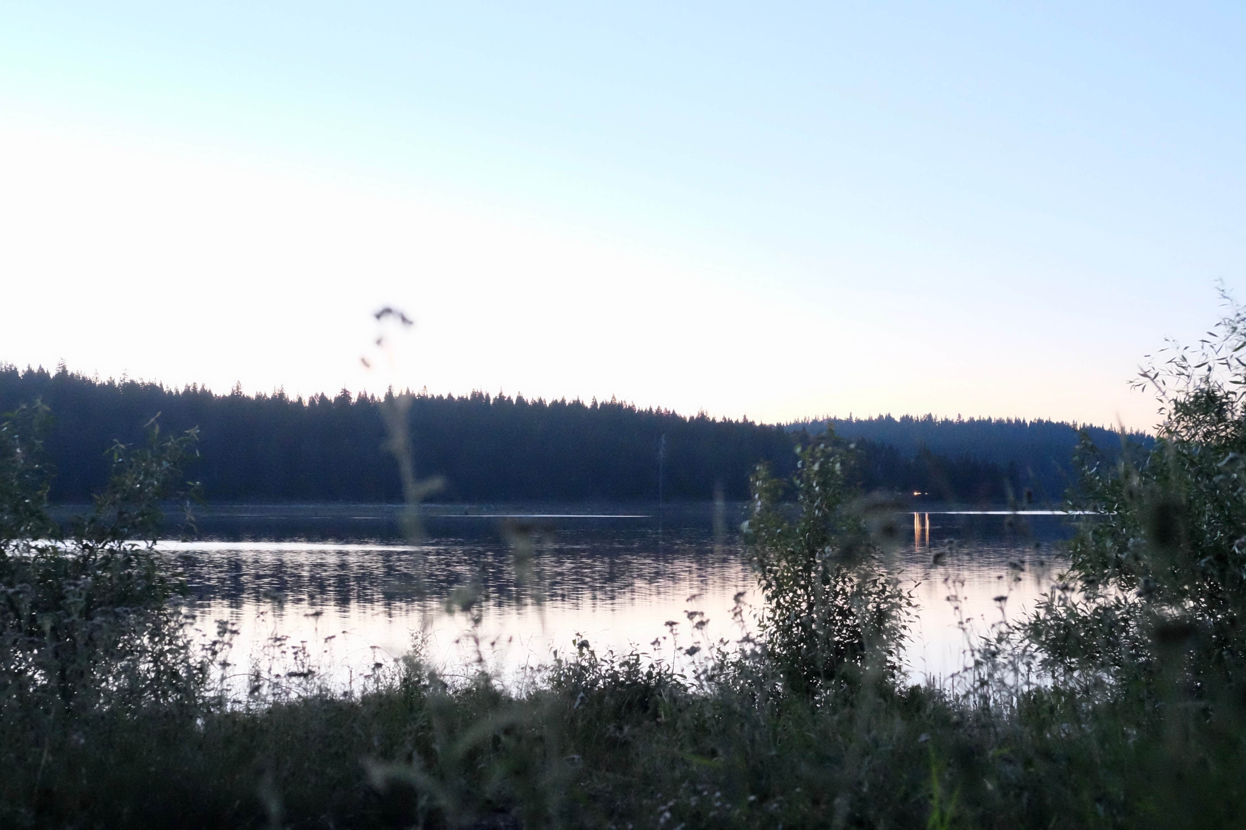 Camper submitted image from Hyatt Lake Recreation Area - 3