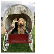 Camper-submitted photo at Winding River Resort near Gould, CO