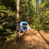 Review photo of Whitcomb Creek County Park by Ryan W., August 2, 2020