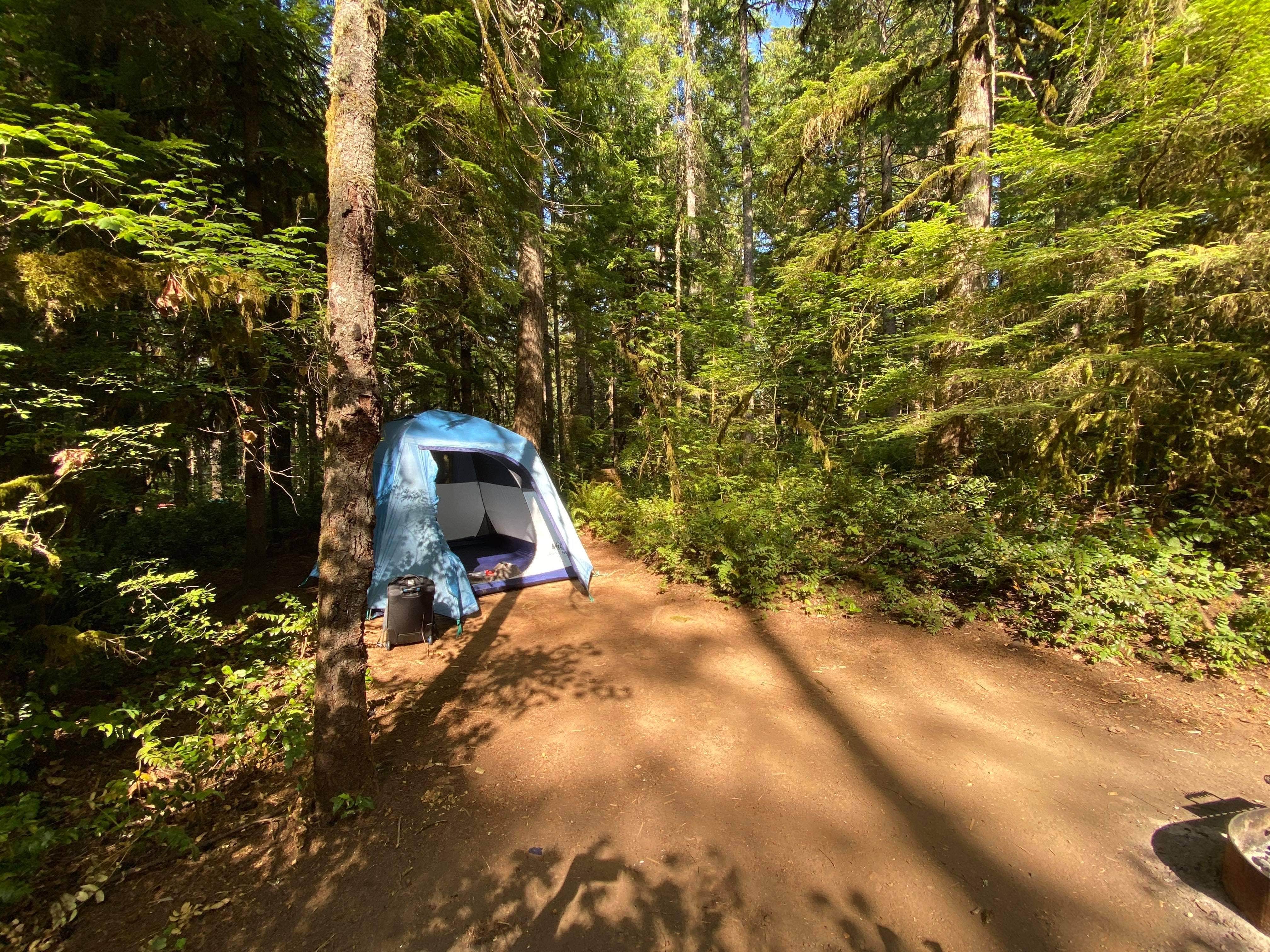 Camper submitted image from Whitcomb Creek County Park - 3